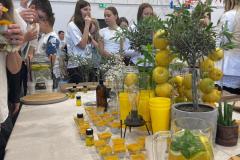 IMG-20260529-WA0037